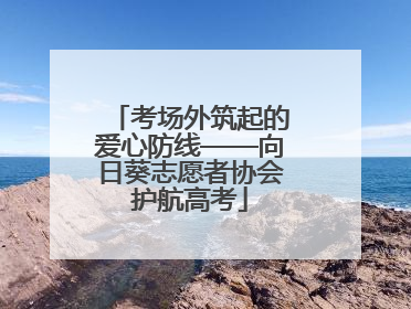 考场外筑起的爱心防线——向日葵志愿者协会护航高考