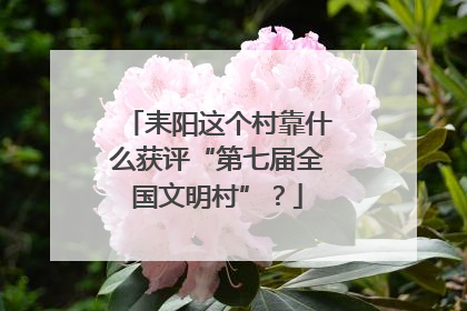 耒阳这个村靠什么获评“第七届全国文明村”？
