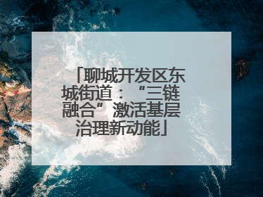 聊城开发区东城街道：“三链融合”激活基层治理新动能