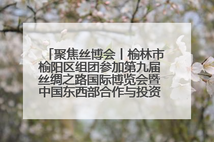聚焦丝博会丨榆林市榆阳区组团参加第九届丝绸之路国际博览会暨中国东西部合作与投资贸易洽谈会