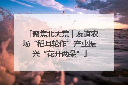 聚焦北大荒｜友谊农场“稻耳轮作”产业振兴“花开两朵”