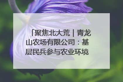 聚焦北大荒｜青龙山农场有限公司：基层民兵参与农业环境综合治理显效