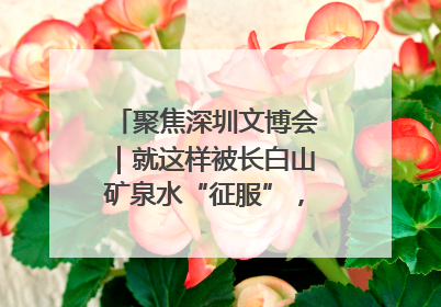 聚焦深圳文博会｜就这样被长白山矿泉水“征服”，订单纷至沓来