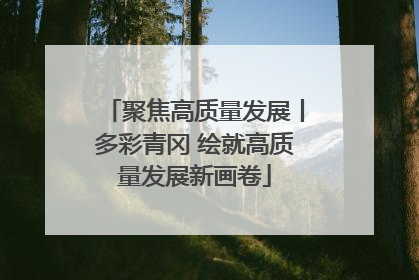 聚焦高质量发展丨多彩青冈 绘就高质量发展新画卷