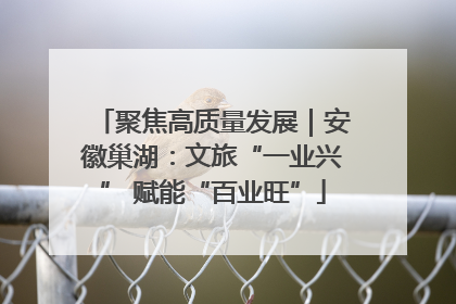 聚焦高质量发展｜安徽巢湖：文旅“一业兴” 赋能“百业旺”