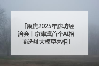 聚焦2025年廊坊经洽会丨京津冀首个AI招商选址大模型亮相