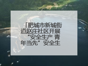 肥城市新城街道赵庄社区开展“安全生产 青年当先”安全生产月系列活动