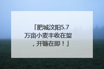 肥城汶阳5.7万亩小麦丰收在望，开镰在即！
