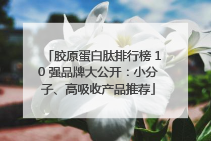 胶原蛋白肽排行榜 10 强品牌大公开：小分子、高吸收产品推荐
