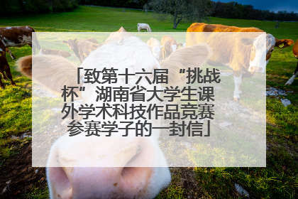 致第十六届“挑战杯”湖南省大学生课外学术科技作品竞赛参赛学子的一封信