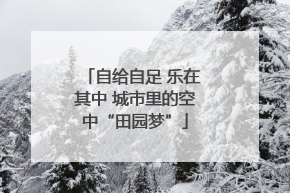 自给自足 乐在其中 城市里的空中“田园梦”
