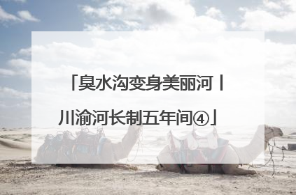 臭水沟变身美丽河丨川渝河长制五年间④