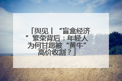 舆见丨“盲盒经济”繁荣背后：年轻人为何甘愿被“黄牛”高价收割？