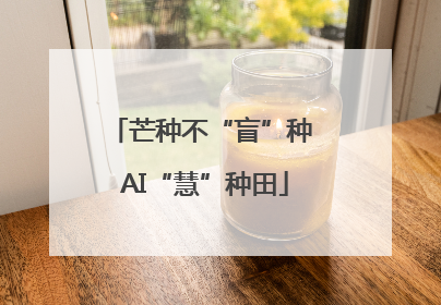 芒种不“盲”种 AI“慧”种田