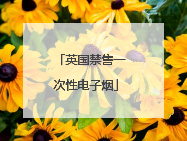 英国禁售一次性电子烟