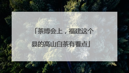 茶博会上，福建这个县的高山白茶有看点