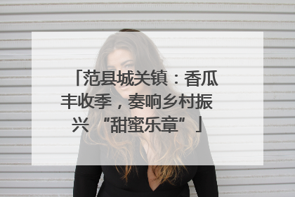 范县城关镇：香瓜丰收季，奏响乡村振兴 “甜蜜乐章”