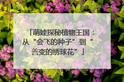 萌娃探秘植物王国：从“会飞的种子”到“善变的绣球花”
