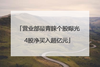 营业部最青睐个股曝光 4股净买入超亿元