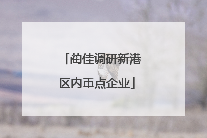 蔺佳调研新港区内重点企业
