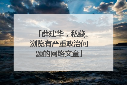 薛建华，私藏、浏览有严重政治问题的网络文章