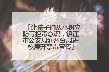 让孩子们从小树立防毒拒毒意识，镇江市公安局润州分局进校展开禁毒宣传