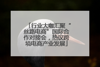 行业大咖汇聚“丝路电商”国际合作对接会，热议跨境电商产业发展
