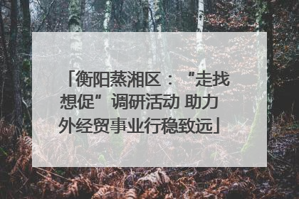 衡阳蒸湘区：“走找想促”调研活动 助力外经贸事业行稳致远