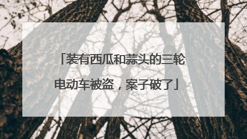装有西瓜和蒜头的三轮电动车被盗，案子破了