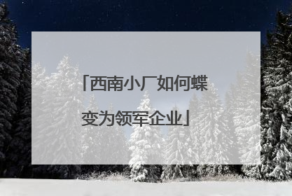 西南小厂如何蝶变为领军企业