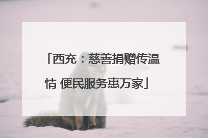 西充：慈善捐赠传温情 便民服务惠万家