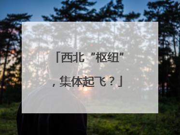 西北“枢纽”，集体起飞？