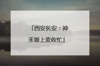 西安长安：神禾塬上麦收忙