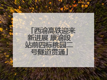西渝高铁迎来新进展 康渝段站前四标桃园二号隧道贯通