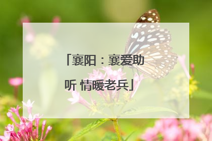 襄阳：襄爱助听 情暖老兵