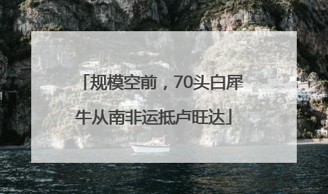 规模空前，70头白犀牛从南非运抵卢旺达