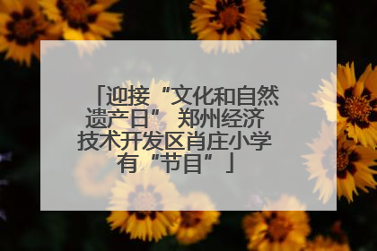 迎接“文化和自然遗产日” 郑州经济技术开发区肖庄小学有“节目”