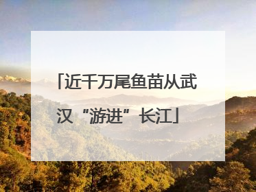 近千万尾鱼苗从武汉“游进”长江