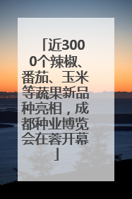 近3000个辣椒、番茄、玉米等蔬果新品种亮相，成都种业博览会在蓉开幕