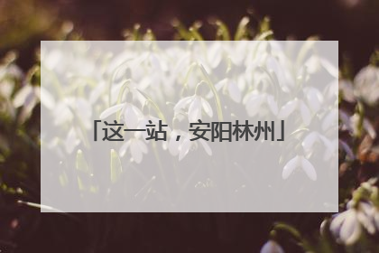 这一站，安阳林州