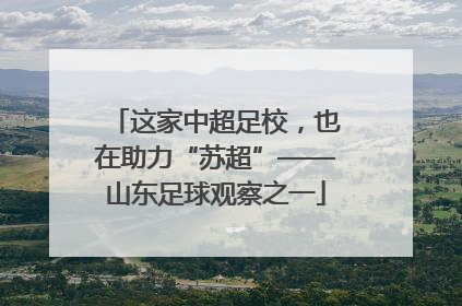 这家中超足校，也在助力“苏超”——山东足球观察之一