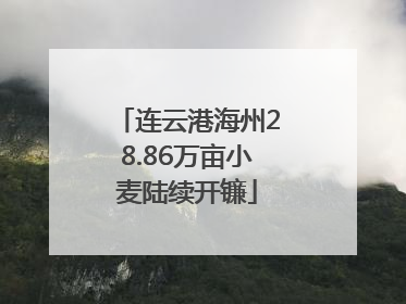 连云港海州28.86万亩小麦陆续开镰