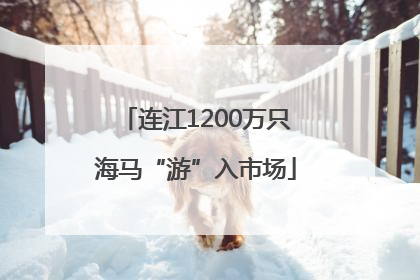 连江1200万只海马“游”入市场