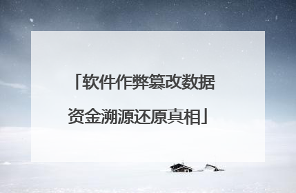 软件作弊篡改数据 资金溯源还原真相