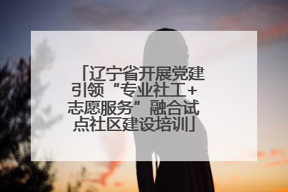 辽宁省开展党建引领“专业社工+志愿服务”融合试点社区建设培训