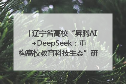 辽宁省高校“昇腾AI+DeepSeek：重构高校教育科技生态”研讨会在沈阳成功举办