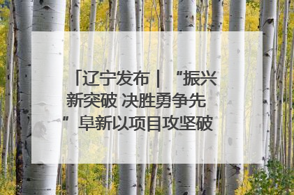 辽宁发布｜“振兴新突破 决胜勇争先”阜新以项目攻坚破解发展瓶颈 经济发展实现良好开局