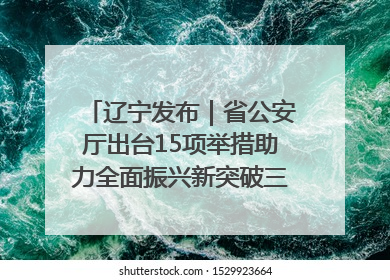 辽宁发布｜省公安厅出台15项举措助力全面振兴新突破三年行动决胜之战