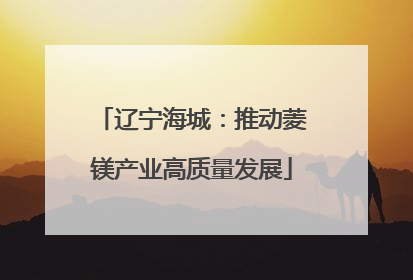 辽宁海城：推动菱镁产业高质量发展