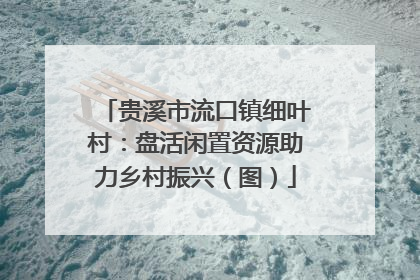 贵溪市流口镇细叶村：盘活闲置资源助力乡村振兴（图）